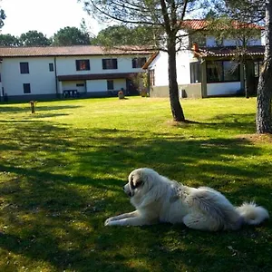 Bed & Breakfast Artenatura Beb, Terranuova Bracciolini